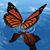 Barbara Mattson's profile image