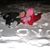 Tammy Herbster's profile image