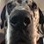 Jason Starkey's profile image