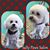 Judy Myers's profile image