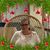Traci Ann Pratt-Myers's profile image