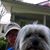 Lisa Hagan-mccoy's profile image