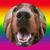 Jim Adlhoch's profile image