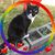 Bonnie Knudsen's profile image