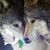 Cynthia A Fay's profile image