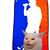 Stephen Kantor's profile image