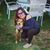 Liz Verastegui's profile image