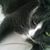 Rosemary Millham's profile image