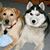 Sherry Strack's profile image