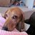 Karen Kovas's profile image