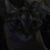 Buckrowley Steven's profile image