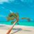 Kristy Beth Minor-Abadilla's profile image