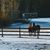 Jane Dorris's profile image