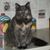 Arthur Portnoy's profile image