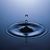 Sharareh Bagherian's profile image
