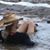 Lisa Flournoy Richardson's profile image