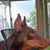 Kerry Steele's profile image