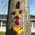 Sarah Kern's profile image