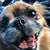 Shane Smoyer's profile image