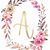 Amanda C Mahdinec's profile image