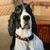Kathy Knoop's profile image