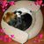 Jeff Barnhart's profile image