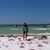 Amy Sims Sehon's profile image