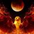 Tracy McCorkle's profile image
