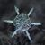 Sue Weaver-Spencer's profile image