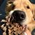 Arieta Hawkes's profile image