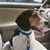 Stacey Beagles's profile image