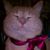 Ducksauce Martinez's profile image