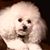 Andy Kolowich's profile image