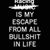 Dave Martin's profile image