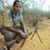 Kumela Fulea's profile image