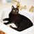 Sally Pearce's profile image