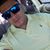 Jose H. Quintanilla's profile image