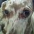 Carol Johnson Haddock's profile image