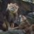 Mark Whitehead's profile image