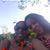 Melinda M Martin's profile image