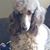 Debbi Sutton's profile image