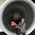 Mike Dauphinee's profile image