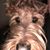 Lori Juhls Otto's profile image