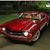 Harry F Mehlman Jr's profile image