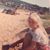 Val Taylor's profile image