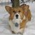Mary Thompson Calhoun's profile image