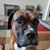 Rebecca Thora's profile image
