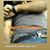 Leonardo Carrillo Lopez's profile image