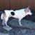 Carolyn Richie Hatten's profile image