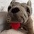 Raechel Garcia's profile image